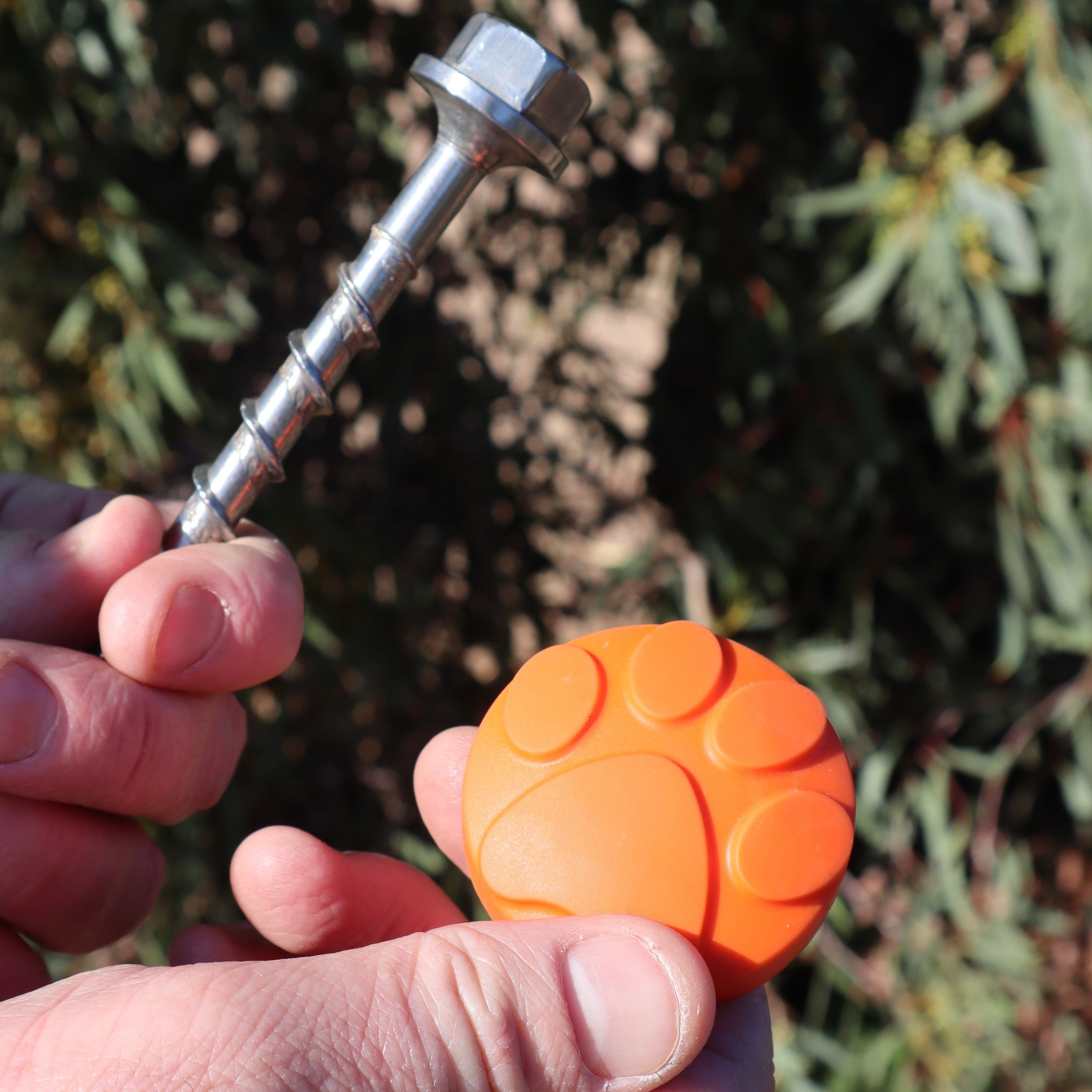 Hand holding a metal screw in peg with an orange plastic cap against a natural background